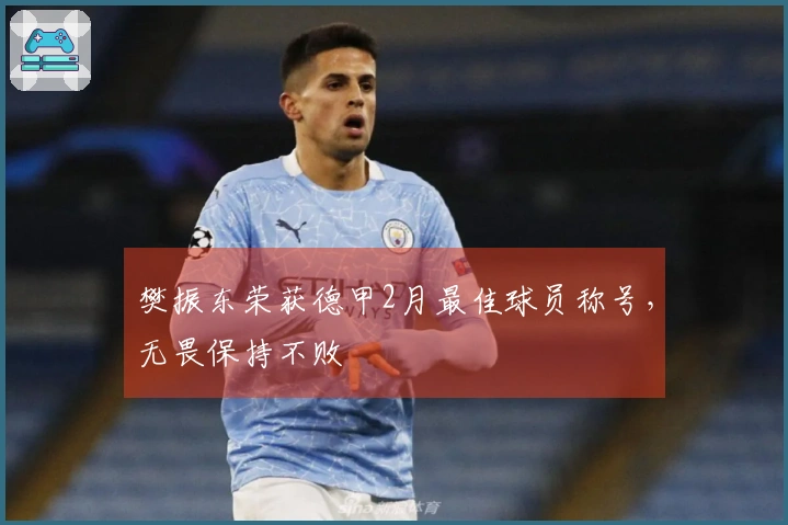 樊振东荣获德甲2月最佳球员称号，无畏保持不败